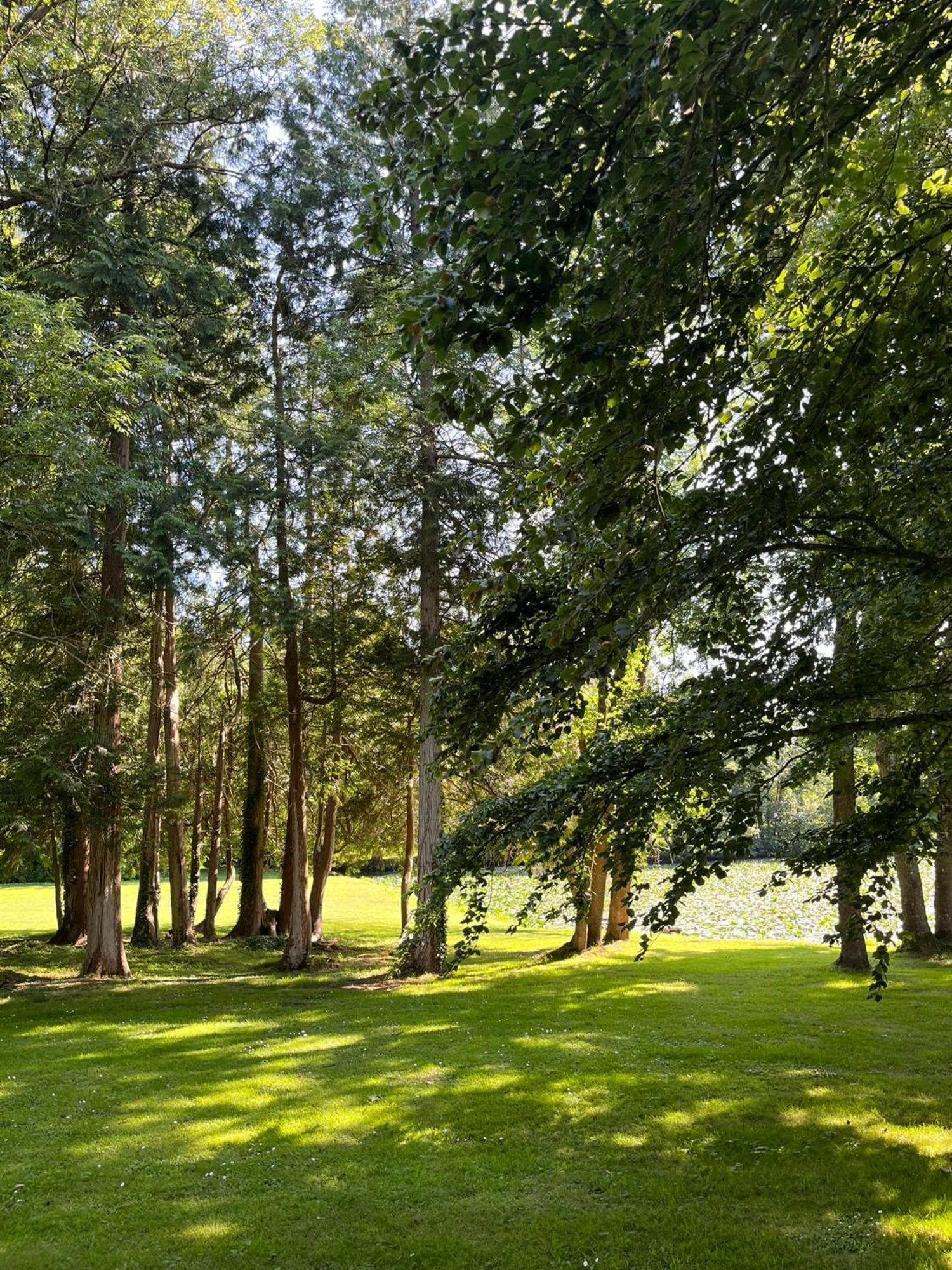 Bed and Breakfast Abbaye De Blanchelande Neufmesnil Esterno foto